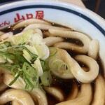 Nadai Ise Udon Yamaguchi Ya - 