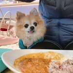 Dotoru Kohi Shoppu - 犬も一緒に食事できます。