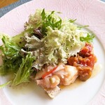 オステリア アルベロ - 