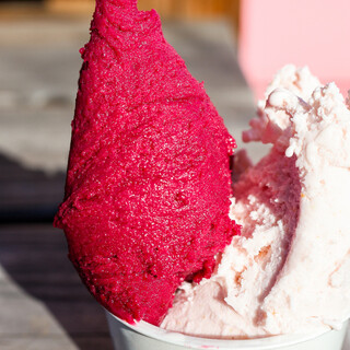 じゃりんこ様専門 口コミ一覧 : なるこりん - 鳴子御殿湯/ジェラート・アイスクリーム