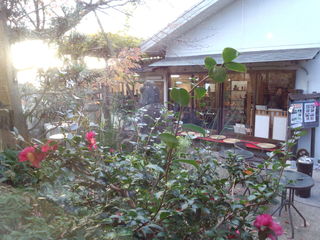 茶寮 清坂亭 - 席から見える庭
