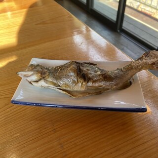 秋川国際マス釣場_1