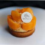 MONICA - 2023年クリスマス限定