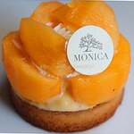 MONICA - 2023年クリスマス限定