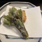 よし町 - コシアブラ、筍