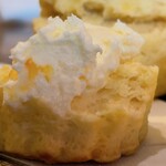 紅茶専門店チャチャドロップ - スコーンにクリーム