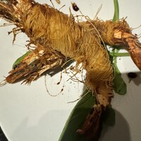 クインチチェントラーレ - 