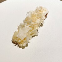 SHIROIYA the RESTAURANT - 