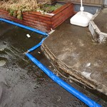 マルミ・サンライズ食堂 - 入口に融雪の水を流してました