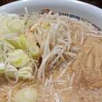 ラーメンの店 ホープ軒 - ねぎをオン