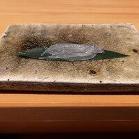 鮨 かの - 白魚