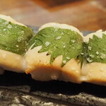 鳥扇 - 笹身しそ