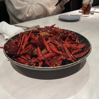 CINA New Modern Chinese - 