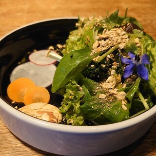 リストリア グランデ アルベロ_1