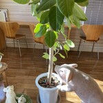 かつサンド工房 PANTON - 