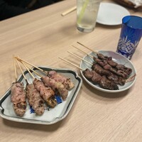 始祖鳥 - 