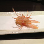 天ぷら　酒菜　醍醐 - 海老のヘッド。