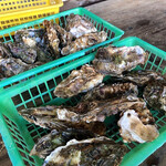 ホリグチ生さざえ - 牡蠣小