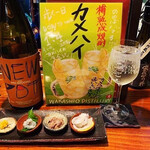 SATSUMA ノギノエ - 