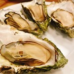 Oyster Bar Splendor - 