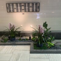 螢 - 