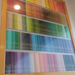 食彩どんぐり - たくさんの色鉛筆