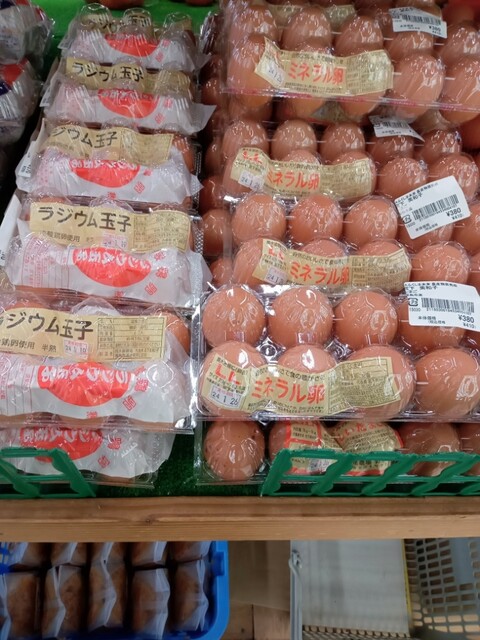 農産物直売所 ここら 川俣店｜福島県川俣町の新鮮野菜と果物