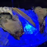 MAIMON GINZA - 