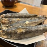 鮨屋のうおきん 恵比寿店 - 