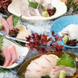 魚太郎 市場食堂_0