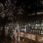 Bar Baron 渋谷 whisky&cocktail - 