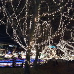 近くの中央公園はイルミネーションでデコってます。