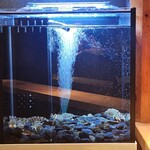 鮨 赤酢 あらまさ - 