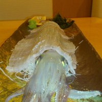 飯家くーた 銀座七丁目店 - 