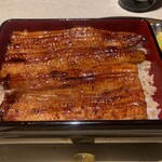 Unagi Mejiro Zorome - 