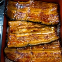 駒形前川 浅草本店 -  駒形前川 浅草本店 -