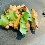 ロータスパレス - 