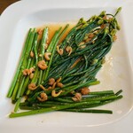 ロータスパレス - 