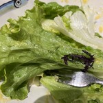 ピッツェリア トラットリア ダ オカピート - 