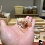 パルコ フィエラ - 昆布＆白ワインで炊いたタチ＆プロシュート