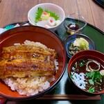 鰻和処はいすた - 料理写真:うな丼はいすた膳