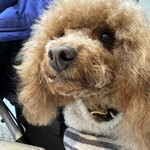 TASTY PLACE THE DINING - 良い顔してるねぇｗ