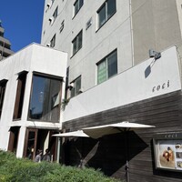 coci - 
