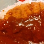 230611811 - チキンかつカレー（２０倍・アップ）