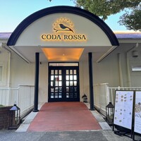 CODA ROSSA - 