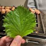 Omoni Bettei Matsuyama Karubi - 哇，紫蘇優格。