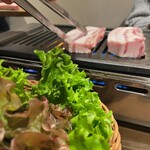 Omoni Bettei Matsuyama Karubi - 生菜是好朋友，從一開始就會搭配五花肉一起上桌！