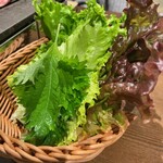 Omoni Bettei Matsuyama Karubi - 而且，透過LINE加為好友後，可以免費續杯！