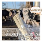 新利根チーズ工房 - そらピント合わんよ