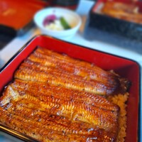 鰻割烹 伊豆栄 本店 -  鰻割烹 伊豆栄 本店 -